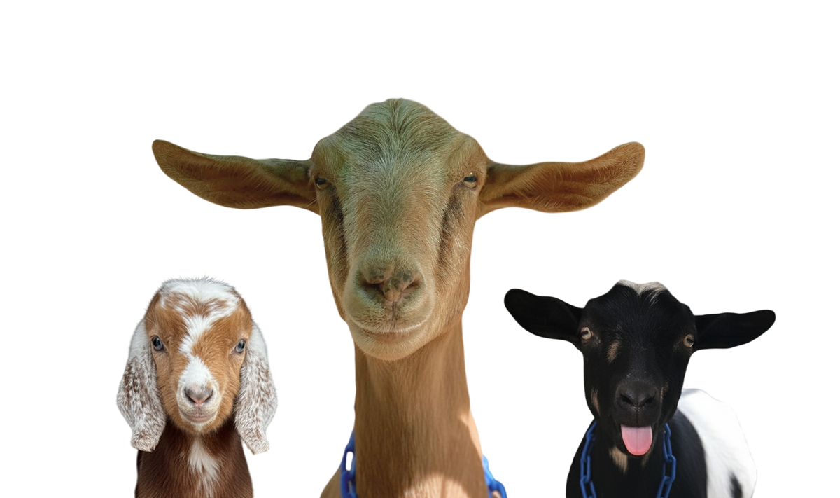 You Can Find Us Here!